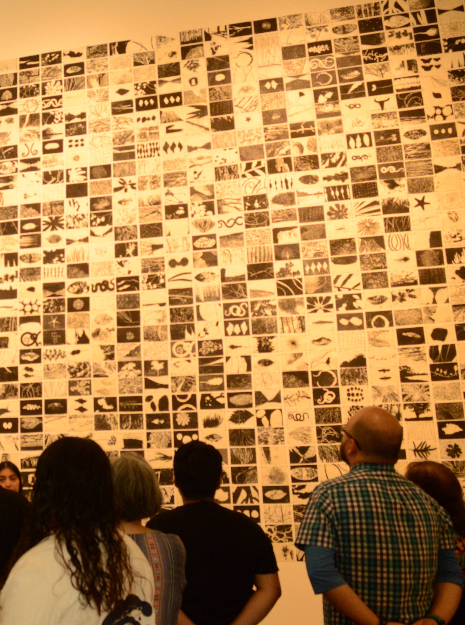 Amig_s del MUAC - MUAC