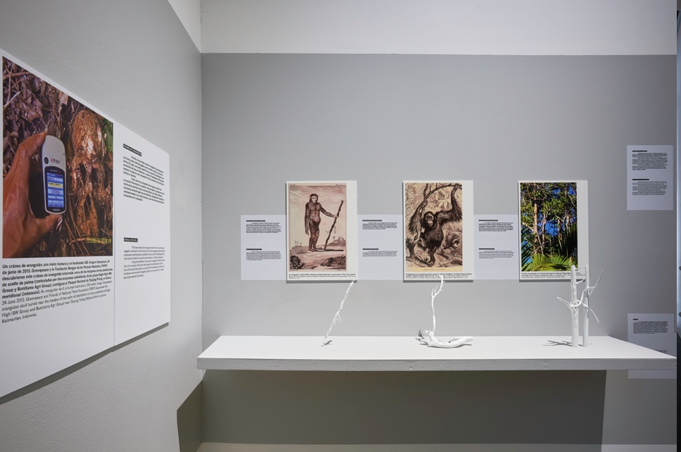 Bullet list - MUAC